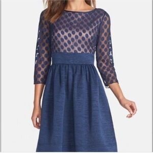 Eliza J Navy Blue Sheer Polka Dot Dress